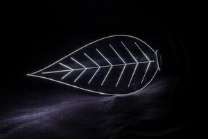 Plexiglass Etched Leaf